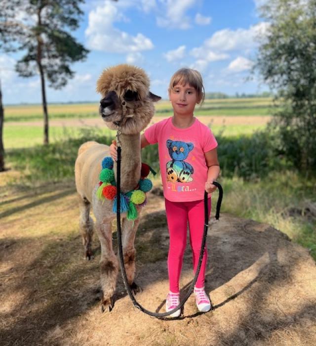 alpakomaniatarchalin.pl